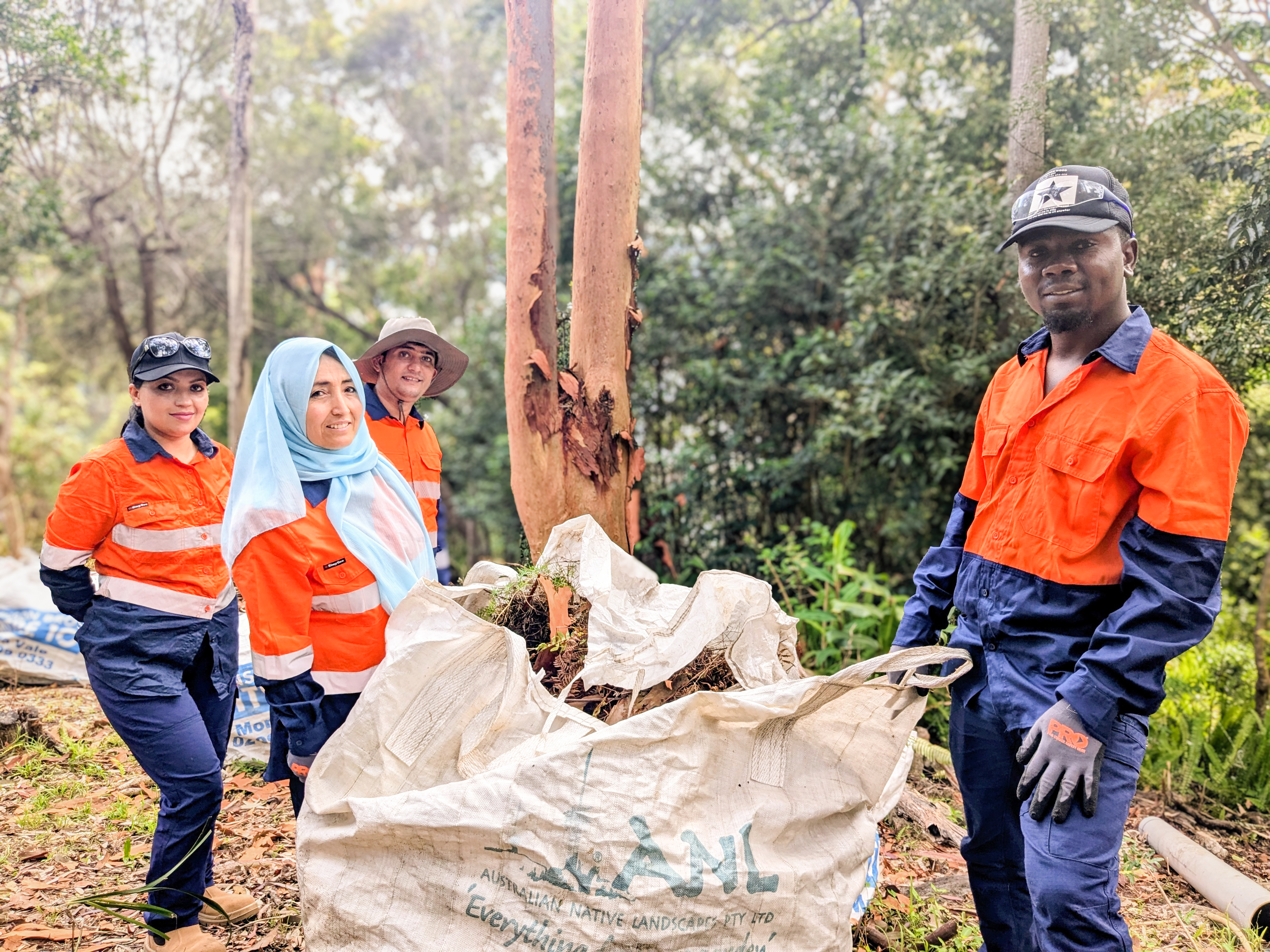 Dragonfly-Dec-2024-2