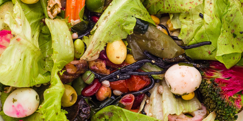 foodwaste-sm